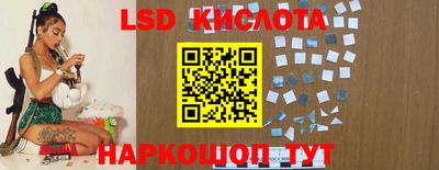 прущие грибы Донской
