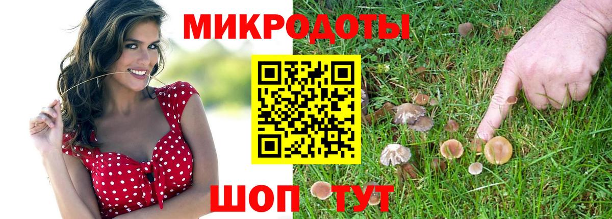 Галлюциногенные грибы Magic Shrooms  Псилоцибиновые грибы Psilocybe  магазин  наркотиков  Лянтор  Вход с VPN 